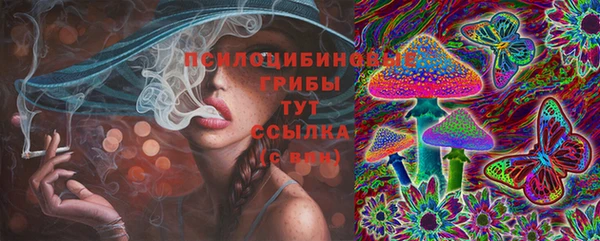 соль курить ск Вязьма