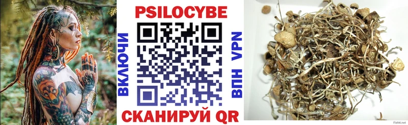 Псилоцибиновые грибы мицелий  что такое   Смоленск 